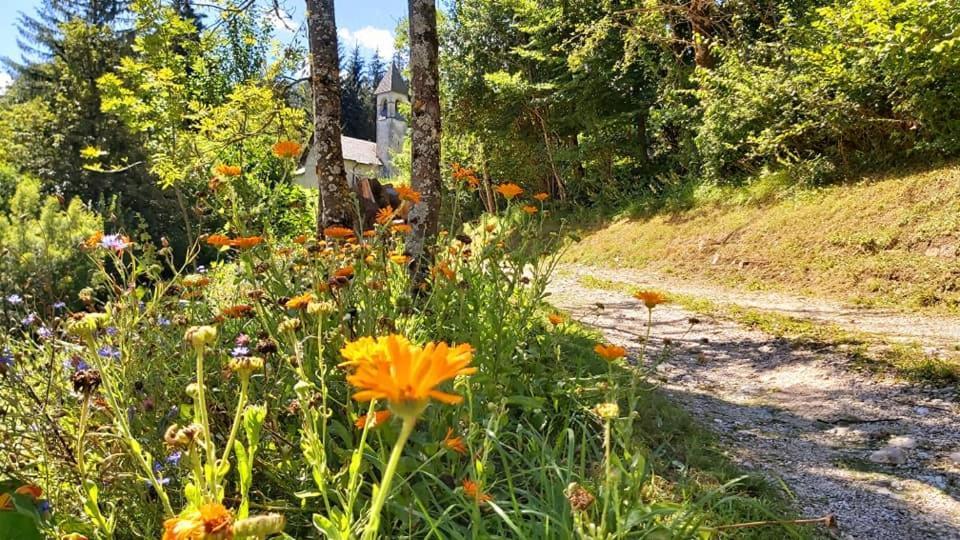 Agriturismo Borgo Damos Villa Valle di Cadore Bagian luar foto