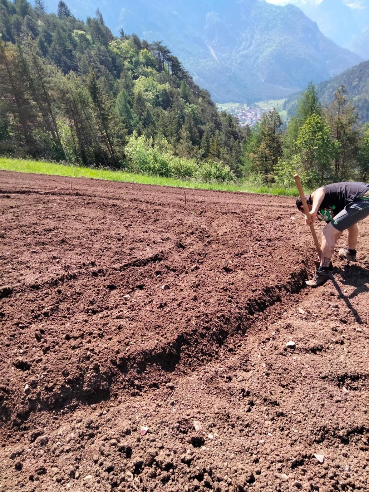 Agriturismo Borgo Damos Villa Valle di Cadore Bagian luar foto