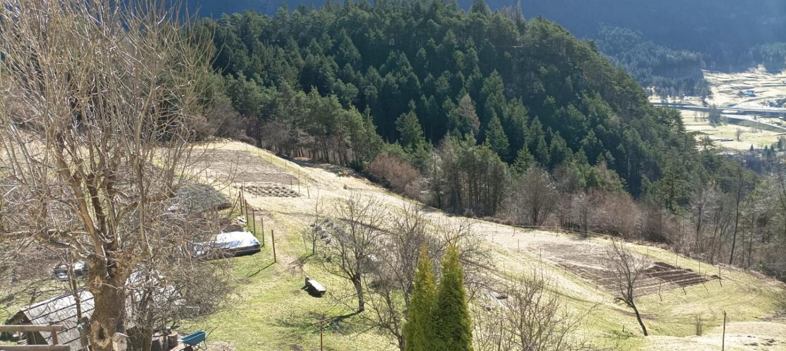 Agriturismo Borgo Damos Villa Valle di Cadore Bagian luar foto